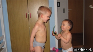 Miniature af billede nummer 1533