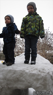 Miniature af billede nummer 1537