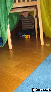 Miniature af billede nummer 1541