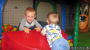 Miniature af billede nummer 1542