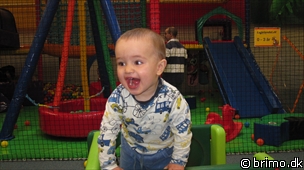 Miniature af billede nummer 1546