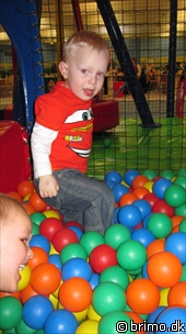 Miniature af billede nummer 1548