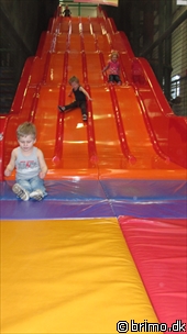 Miniature af billede nummer 1551