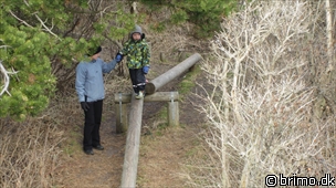 Miniature af billede nummer 1558