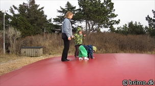 Miniature af billede nummer 1560