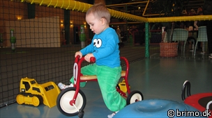 Miniature af billede nummer 1562