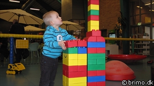 Miniature af billede nummer 1563