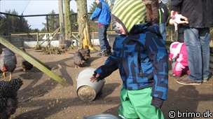 Miniature af billede nummer 1565