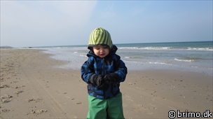 Miniature af billede nummer 1567