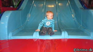 Miniature af billede nummer 1569