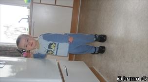 Miniature af billede nummer 1573