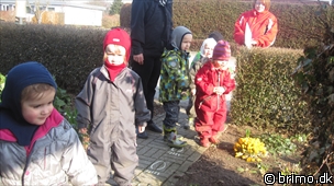 Miniature af billede nummer 1580