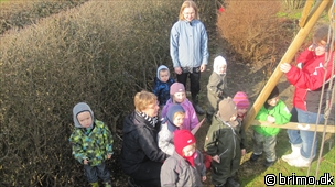 Miniature af billede nummer 1583