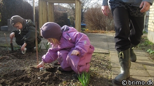 Miniature af billede nummer 1585