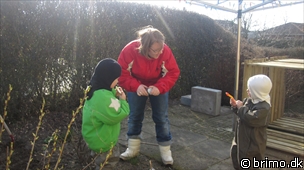 Miniature af billede nummer 1586