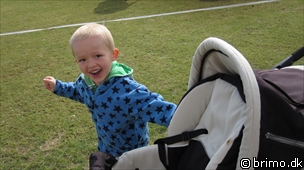 Miniature af billede nummer 1599