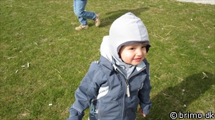 Miniature af billede nummer 1600