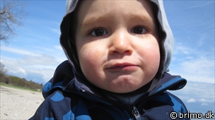 Miniature af billede nummer 1604