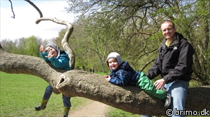 Miniature af billede nummer 1605