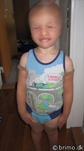 Miniature af billede nummer 1610