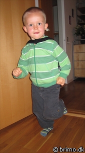 Miniature af billede nummer 1611