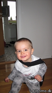 Miniature af billede nummer 1612