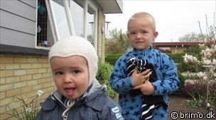 Miniature af billede nummer 1613