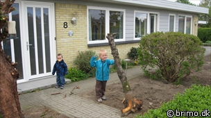 Miniature af billede nummer 1626