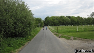 Miniature af billede nummer 1629