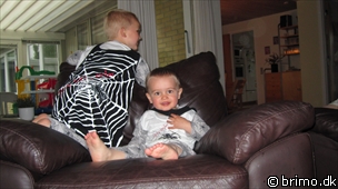 Miniature af billede nummer 1630