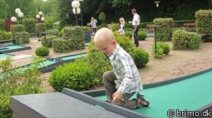 Miniature af billede nummer 1636