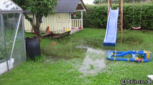 Miniature af billede nummer 1639