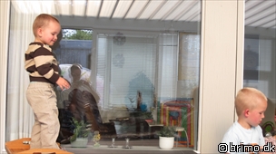 Miniature af billede nummer 1642