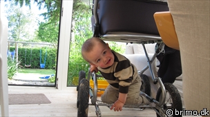 Miniature af billede nummer 1645