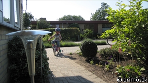 Miniature af billede nummer 1649