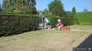 Miniature af billede nummer 1650