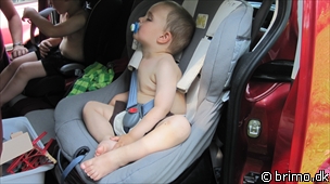 Miniature af billede nummer 1653