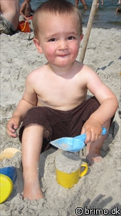 Miniature af billede nummer 1655