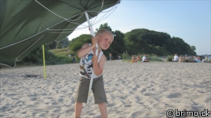 Miniature af billede nummer 1658