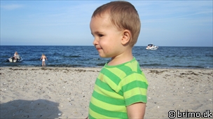 Miniature af billede nummer 1660