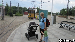 Miniature af billede nummer 1676