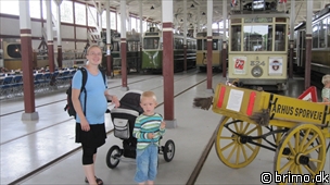 Miniature af billede nummer 1677