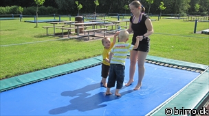 Miniature af billede nummer 1682