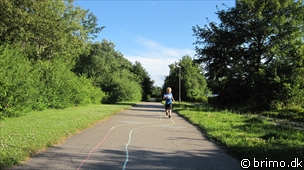 Miniature af billede nummer 1690