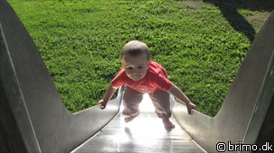 Miniature af billede nummer 1694