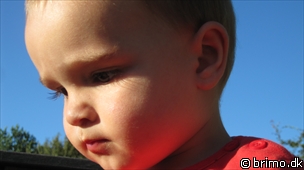 Miniature af billede nummer 1695