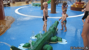 Miniature af billede nummer 1700