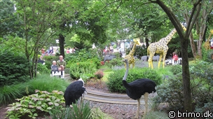 Miniature af billede nummer 1703