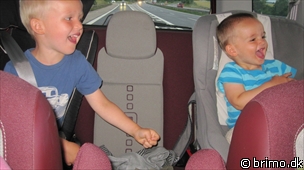 Miniature af billede nummer 1705