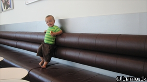 Miniature af billede nummer 1706